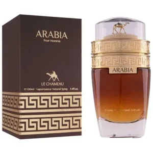 Arabia Pour Homme Parfum Arabesc Bărbați de Lux Dubai